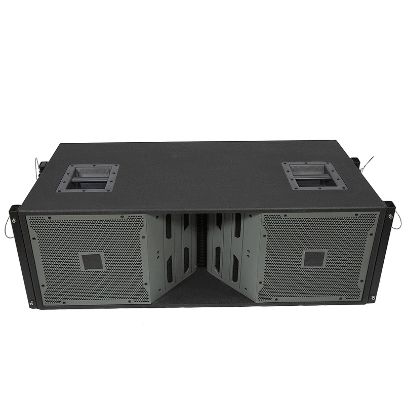 VT4888 Doppio altoparlante Line Array a tromba al neodimio da 12 pollici