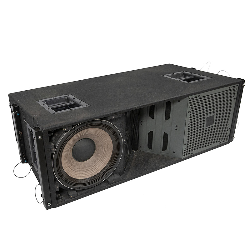 VT4888 Doppio altoparlante Line Array a tromba al neodimio da 12 pollici